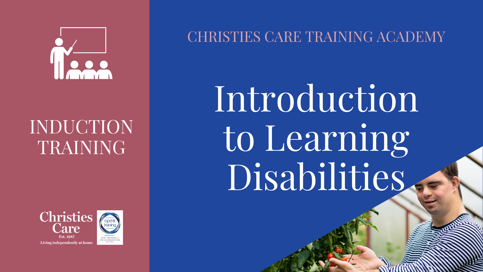 INTRODUCTION TO LEARNING DISABILITIES  TR020